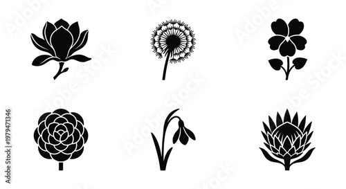 Minimalist black flower icons set, collection of 6 floral vector silhouettes, botanical garden plant symbols for logo design and branding