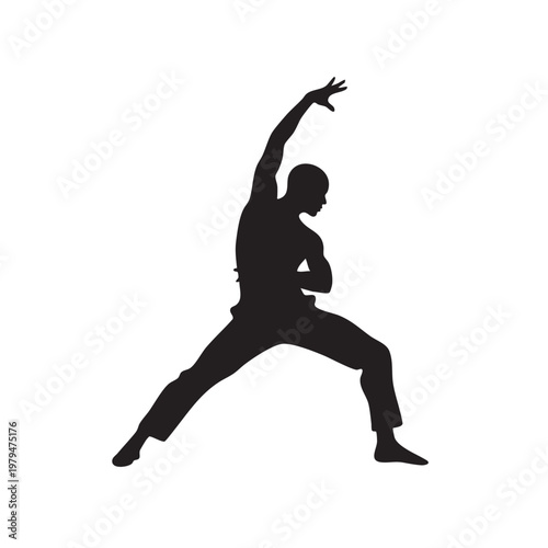 A solid black silhouette of a martial artist performing a dynamic lunge pose with one arm raised isolated against a plain white background