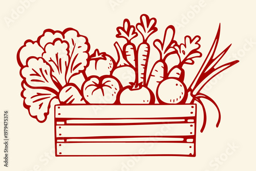 Wooden crate overflowing with fresh raw vegetables illustration hand drawn vegetable illustration background shopping nutrition ingredients botanical engraving clipping