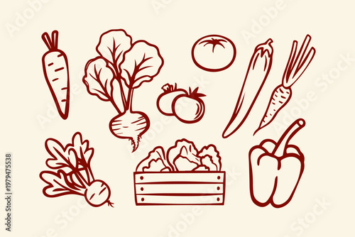 Collection of fresh vegetables including carrots beets tomatoes illustrated with hand drawn bell pepper chili pepper hot pepper vegetable illustration background beetroot ingredients