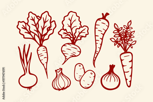 Hand-drawn red outline root vegetables collection with food graphic white background eat well vegetables illustration healthy eating ingredients nutrition beetroot vegetable