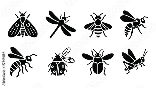 A collection of various black silhouette insect icons including bees dragonflies moths beetles and grasshoppers high quality professional detailed modern elegant