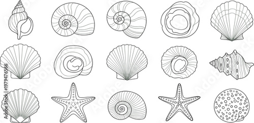 Hand Drawn Seashell and Starfish Outline Set with Ocean Marine Elements in Line Art Style for Beach Design, Summer Projects, and Coastal Decorations