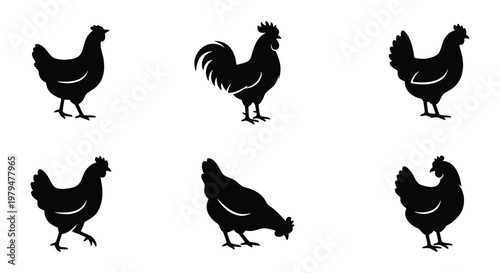 Chicken silhouette vector set, black rooster and hen farm animal icons, 6 poultry bird elements for butcher shop and organic food branding