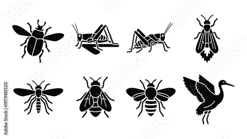 A collection of black silhouette insects and a bird including beetles grasshoppers bees and a stork high quality professional detailed modern