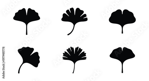 Ginkgo biloba leaf silhouettes, set of 6 black botanical icons, minimalist japanese ginkgo foliage vector elements for logo design and branding