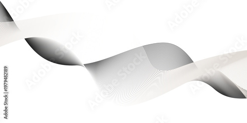 Abstract white and black line in vector business texture. Pattern line blend curve flow futuristic white background