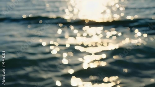 Sunlight reflecting on rippling water surface, creating shimmering patterns and highlights in a tranquil aquatic environment during a bright day