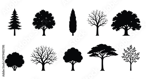 Black tree silhouettes collection, set of 10 forest and garden tree icons, minimalist nature vector elements for landscape design and architecture