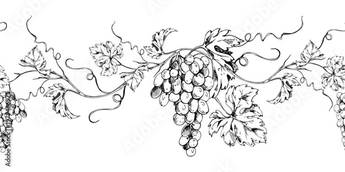 Horizontal seamless banner of grapevine leaves and grapes in refined ink linework. Vector hand drawn illustration, botanical sketch. Winery branding, packaging edges, header or border decoration.