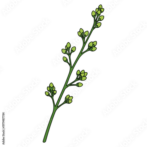 budding green plant sprig flat vector illustration
