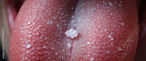 Close-Up View of a Human Tongue Coated with Crystals of Salt on a Moist Surface