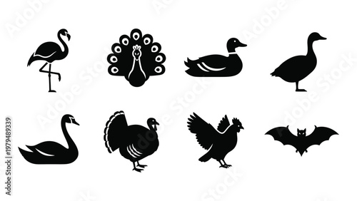 A collection of black silhouette icons depicting various birds and a bat showing distinct avian forms high quality professional detailed modern