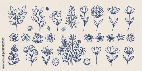 Hand drawn spring flowers garden flora, minimalist botanical plant and petal sketches, organic meadow wildflower and herb doodles, decorative nature blossom and stem icons, artistic outdoor garden fol