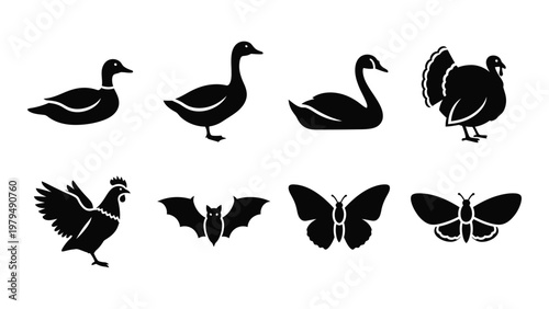 A collection of black silhouette icons showcases various animals including waterfowl birds insects and a bat high quality professional detailed modern