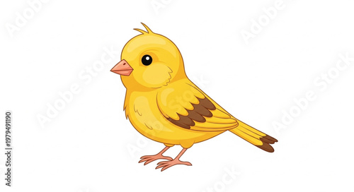 Cute Yellow Bird Cartoon Illustration.