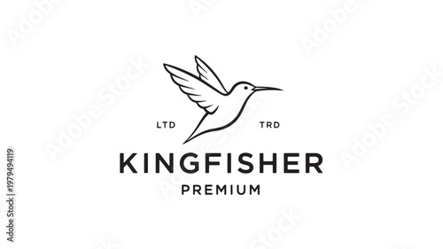 Hummingbird kingfisher logo with wings and beak icon for premium branding on white background featuring vector style, mascot, LTD TRD with typography