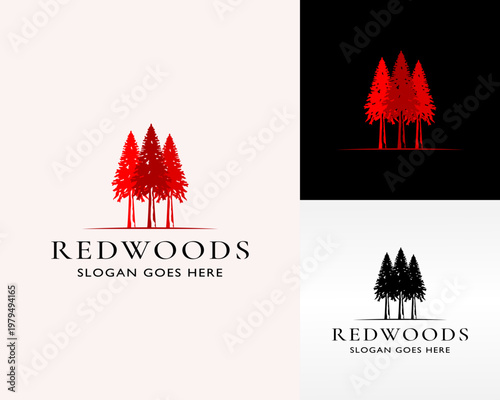 redwoods logo design vector illustration