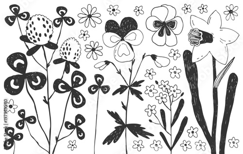 Plants and flowers doodles set. Floral elements, wild flowers, pansy, clover, daffodil, hand drawn simple illustration of spring flowers, leaves and plants.	