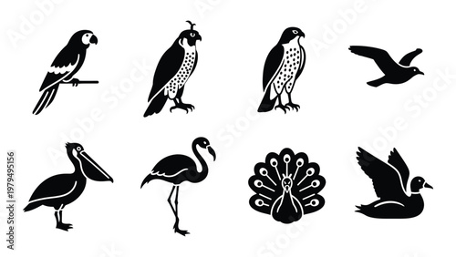 A collection of monochrome bird silhouettes showcases diverse species including parrots flamingos and waterfowl in a simple design high quality professional