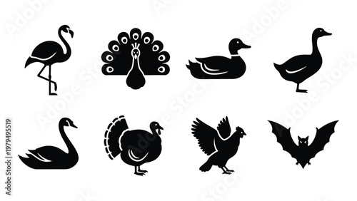A collection of monochrome silhouettes depicting various bird species including flamingos peacocks and waterfowl high quality professional detailed modern elegant stylish
