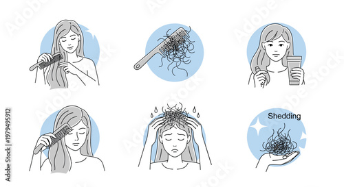 Infographic about female hair loss and shedding with brushing and treatment illustrations for hair care and medical knowledge.