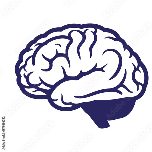 Dark blue silhouette of a human brain, side profile view with detailed gyri and sulci outlines on a white background, isolated