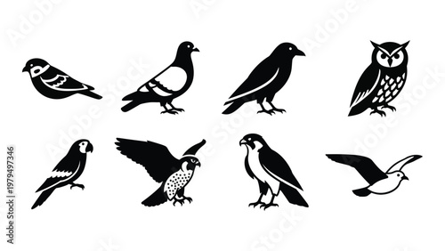 A collection of stylized black silhouettes depicting various bird species including pigeons owls and raptors high quality professional detailed modern elegant