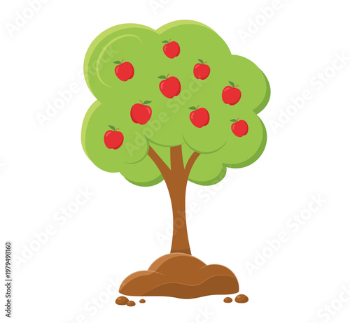 apple tree fruit bearing with apples, trunk, green canopy and soil mound set for agriculture and education flat cartoon illustration
