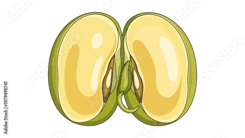 Split Open Green Bean.