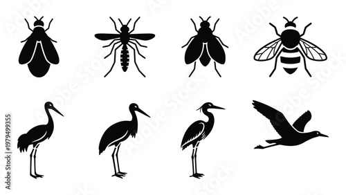 A collection of black silhouette icons depicts various insects including bees and several bird species in profile high quality professional detailed