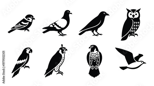 A collection of eight black and white bird silhouettes featuring diverse species including sparrows owls and birds of prey high quality