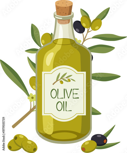 Glass bottle of extra virgin olive oil with cork and olive branches, organic food vector illustration.