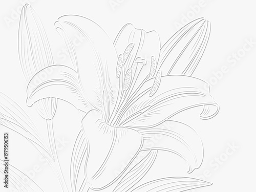 embossed image of white lily flower