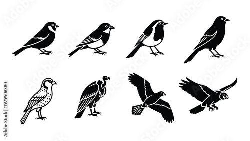 A collection of black and white bird silhouettes showcasing various species in different poses and flight patterns high quality professional detailed