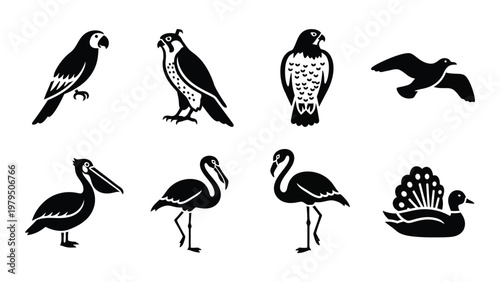 A collection of monochrome bird silhouettes showcases diverse species including parrots falcons pelicans and flamingos high quality professional detailed modern elegant