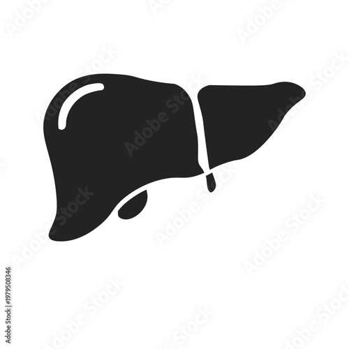 Isolated illustration of human liver organ silhouette for images, advertising pamphlets and icons in hospitals or clinics with educational themes about human internal organs and liver organ health.