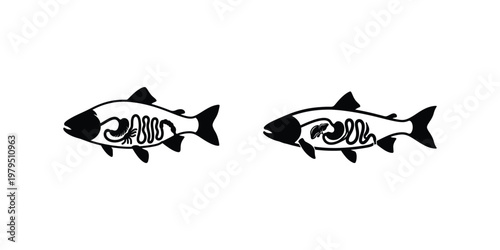 Fish Digestive System Anatomy Icon