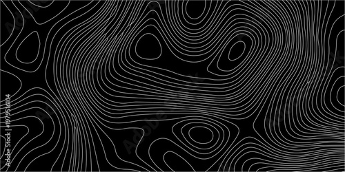 An abstract black background features flowing white curvilinear lines resembling topographic map contours or geological strata high-quality professional detailed