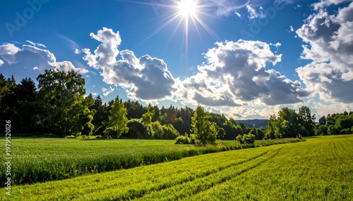 Vibrant green field under a bright sunny sky with fluffy clouds.