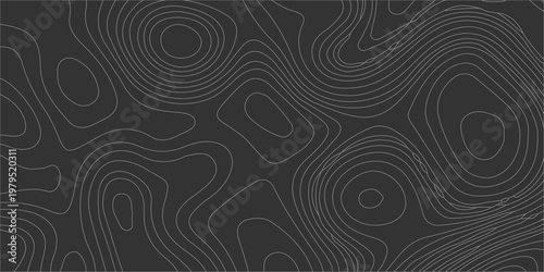 Billede på lærred Abstract topographic map illustration featuring flowing curved lines on a dark g