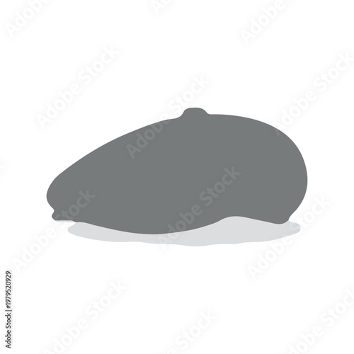Gray flat cap silhouette icon