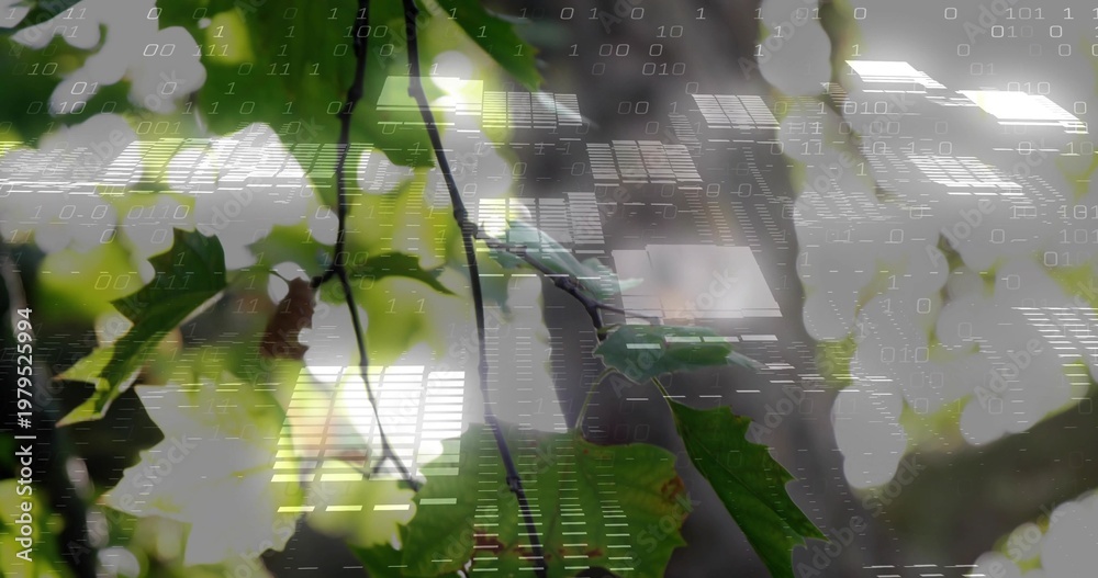 Fototapeta premium Displaying cluster of green serrated leaves on thin branch at park canopy, with binary overlay