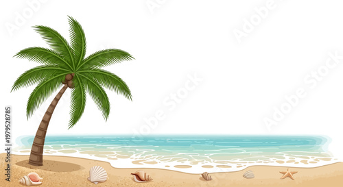 Palm tree on sandy beach shore.