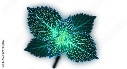Detailed close-up of vibrant green leaf with intricate veins.