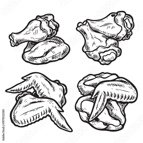 Set of hand drawn chicken wings vector illustration in vintage sketch style for restaurant menu and food packaging