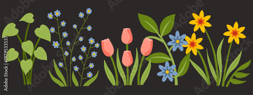 Set of colorful hand drawn spring flowers and garden plants. Minimalist botanical illustration set for greeting cards and invitations