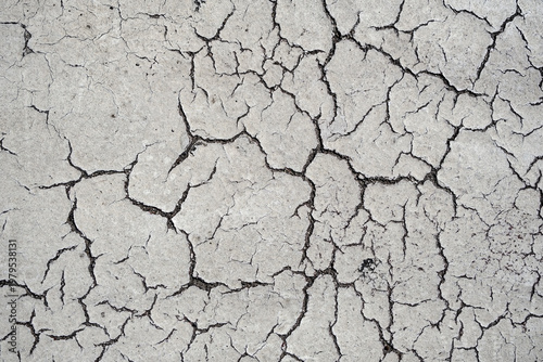 Weathered white asphalt surface with extensive cracking patterns and aged texture. Rough urban pavement shows natural wear and deterioration. For backgrounds, overlays, and grungy design elements.

