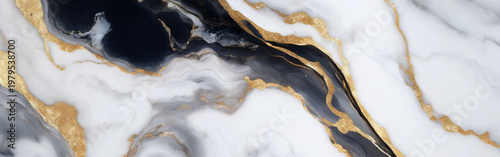 Black White Marble Abstract Background with Gold Veins, Luxury Fluid Stone Texture, Elegant Geode Ink Pattern for Premium Interior Design