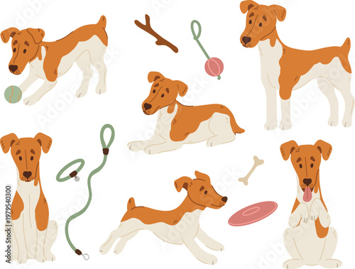 Cute Terrier Dog Character Set in Various Poses, Funny Puppy Playing with Toys and Walking, Smooth Fox Terrier or Jack Russell Activities Vector Illustration